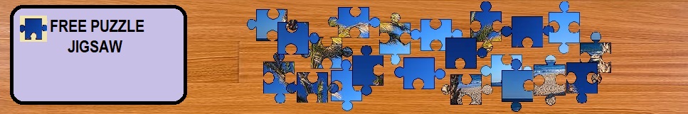 jigsaw header image